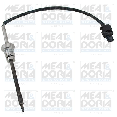 Sensor, exhaust gas temperature